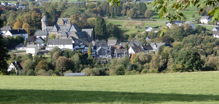 Hier sehen Sie einen Ausschnitt von Friedewald mit Schloss.